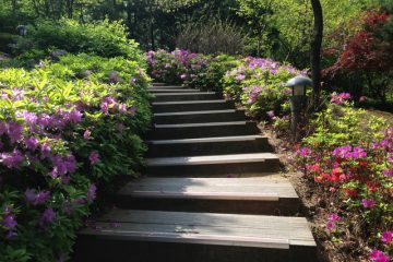 créer un escalier de jardin