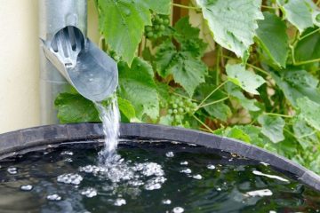 14-Les aspects légaux à considérer lors de l'installation d'un système de récupération d'eau de pluie pour votre jardin