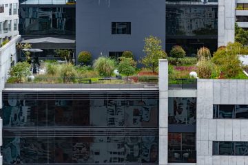 8-Les options de toiture végétalisée pour une maison respectueuse de l'environnement