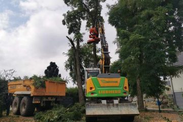 Travaux d'Élagage, Abattage et Broyage dans l'Orne