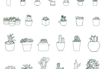 découvrez comment les plantes d'intérieur peuvent transformer votre espace de vie. apprenez à choisir, entretenir et profiter des bienfaits de ces verdoyantes alliées pour votre bien-être et votre décoration.