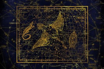 découvrez tout ce qu’il faut savoir sur le solarium : avantages, utilisation, conseils d’entretien et astuces pour profiter pleinement de votre espace détente lumineux à la maison.