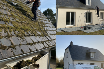 demoussage_de_toiture