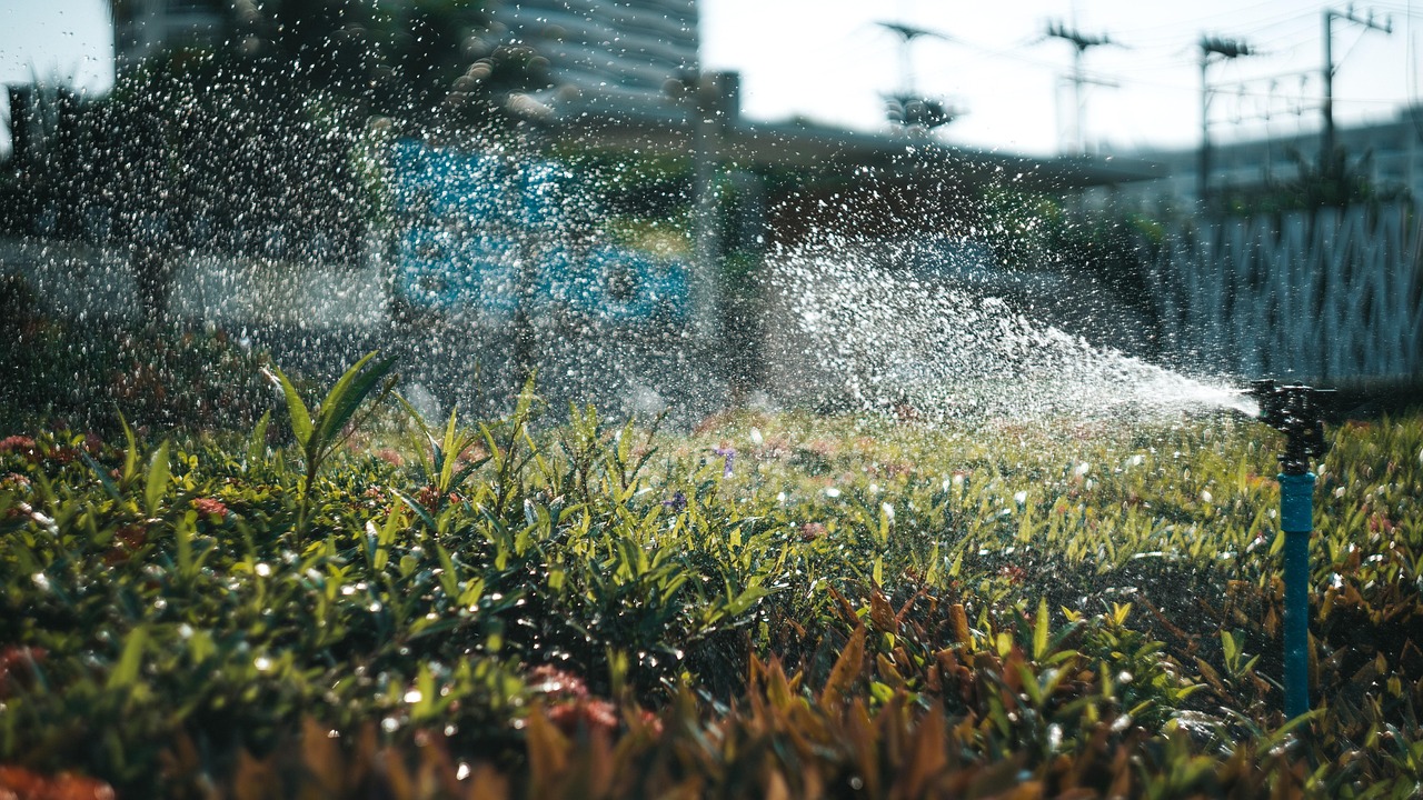 découvrez tout sur l'irrigation : techniques, avantages et solutions durables pour optimiser l'arrosage de vos cultures et améliorer le rendement agricole.