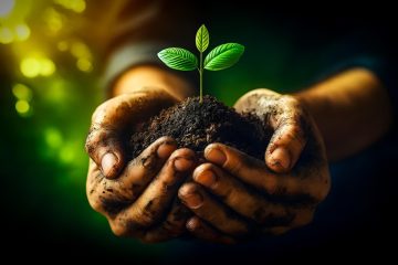 découvrez nos conseils et astuces pour réussir le planting : préparation du sol, choix des plantes, techniques de plantation et entretien pour un jardin florissant toute l'année.