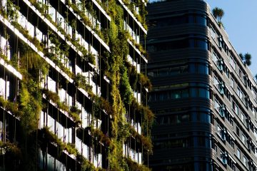 découvrez des idées et conseils inspirants pour la conception de jardins. transformez votre espace extérieur en un véritable havre de paix grâce à nos astuces de garden design.