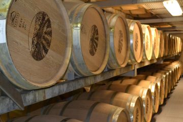 découvrez une visite de cave exceptionnelle : dégustation de vins, exploration des vignobles et immersion dans l'art de la vinification.