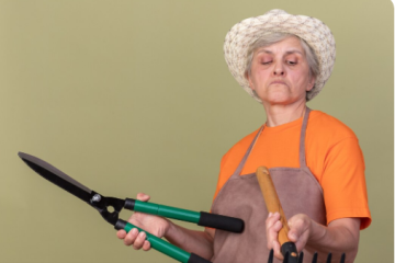 coupure_bordure_leger