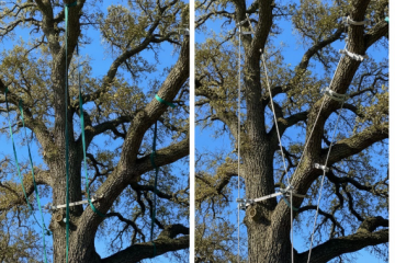 haubanage_dynamique_ou_statique