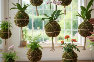 kokedama_alternatives_plantes_suspendues