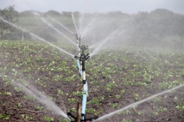 découvrez notre plan d'irrigation efficace pour optimiser l'utilisation de l'eau et garantir une croissance optimale de vos cultures.