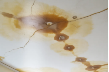 taches_plafonds_infiltration_toiture