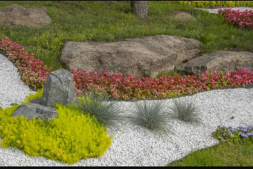 jardin_zen