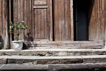 découvrez les étapes essentielles pour planter facilement et réussir la croissance de vos plantes, du choix des graines à l'entretien.
