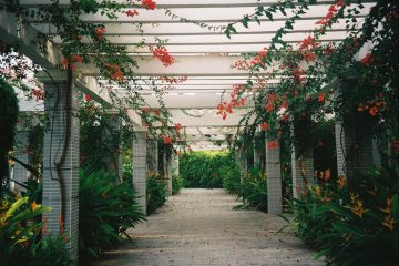 pergola